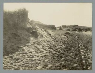 In den Dünen von Wustrow