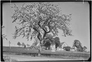 Sächsische Schweiz. Hockstein?