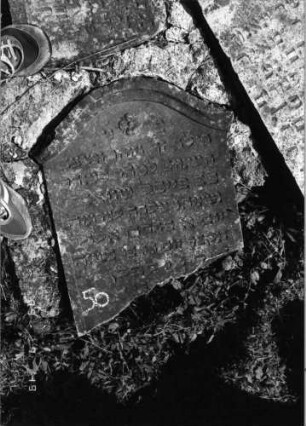 Grabstein 50 (Index: 99796367) Material: Sandstein Zustand: gut Maße HxBxT: 0x0x0 cm Beschreibung: Stele, Konvexbogenabschluß mit kleiner Verdachung Symbolik: Blüte: Grabstein 50