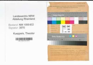 Entnazifizierung Theodor Kueppers, geb. 09.08.1901 (Angest.)