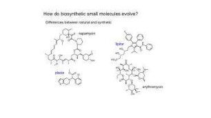 Perspective on biological chemistry