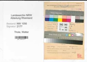 Entnazifizierung Walter Thole , geb. 14.07.1912 (Kaufmann)