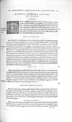Historia Vigesima Septima. De Acone