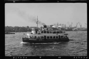 Wischhafen (1939), Hadag.- Hafen-Dampfschiffahrt AG, Hamburg