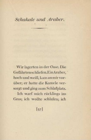 Schakale und Araber