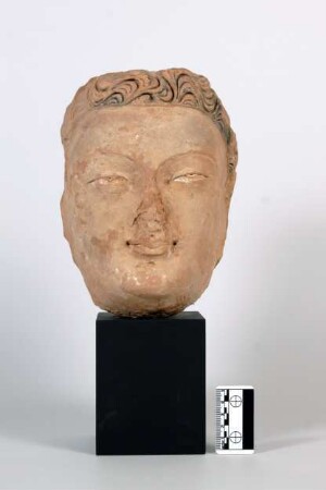 Kopf
