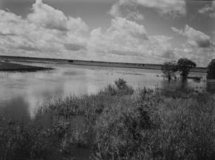 Sumpfland : Überschwemmtes Grasland