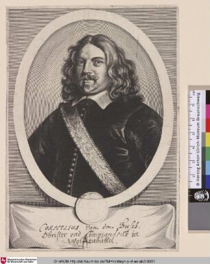 Cornelius van den Busch