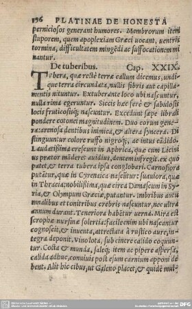 De tuberibus. Cap. XXIX.