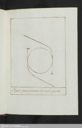 Figure pour présenter la main gauche