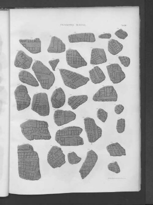 Fragmenta Minora.