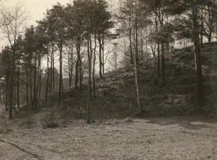 Oberlausitz. Burgwall Kopschien bei Krostwitz (Crostwitz). Äußerer Steinwall von Nordosten
