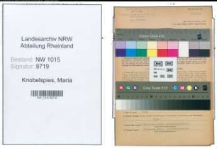 Entnazifizierung Maria Knobelspies , geb. 04.08.1915 (Abteilungsleiterin)