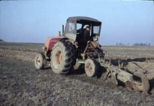 Traktor Müncheberg 80 PS
