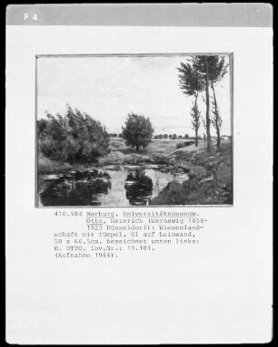 Wiesenlandschaft mit Tümpel