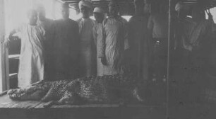 Gejagtes Krokodil [Reise nach dem Sudan, Band 2]