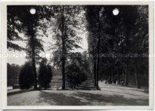 Bremen, Bürgerpark