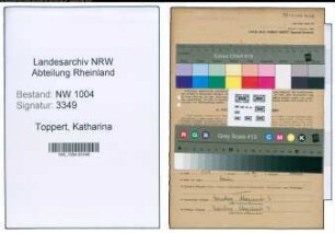 Entnazifizierung Katharina Tappert , geb. 17.11.1922 (Verw.Angestellte)