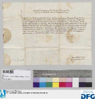 König Sigismund gebietet der Stadt Nürnberg, mit der Auszahlung der jährl. Reichssteuer solange zu warten, bis er selbst ins Reich komme.