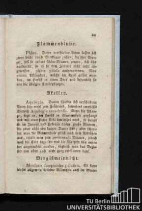 Vergißmeinnicht.
