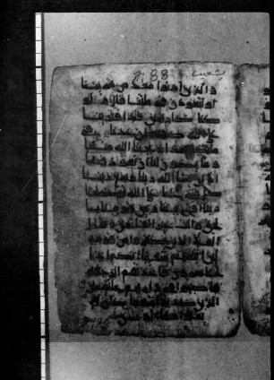 al- Qurʾān [DAM 16-10.1]
