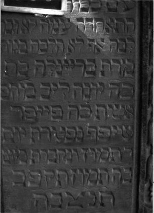 Grabstein 766 (Index: 100104719) Material: Sandstein Zustand: gut erhalten, im unteren Bereich beginnende Verwitterung (Aplatzungen) Maße HxBxT: 196x80x14 cm Beschreibung: Stele, eingezogener Rundbogenabschluss mit Verdachung, auf den Einzügen Kugelaufsätze, Schriftfeld durch Rille abgeteilt, seitliche Rahmen mit Blütenfries, im Bogenfeld gekreuzte Akanthusblätter Symbolik: Akanthus, Blütenranken: Grabstein 766 (Detailaufnahme 2)