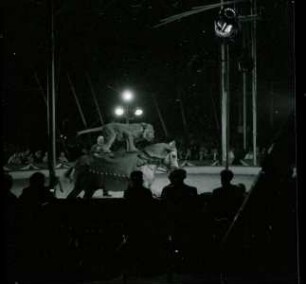 Circus Williams - Vorstellung - Tiere, ohne Ortsangabe, 1959