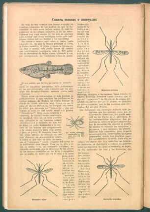 Contra moscas y mosquitos