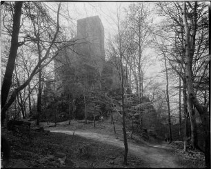 Baden-Baden Altes Schloss - Schloss Hohenbaden Gesamtansicht von Norden