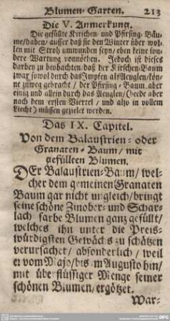 Das IX. Capitel. Von dem Balaustrien- oder Granaten-Baum/mit gefüllten Blumen.