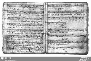 Loth, Urban: Tres sunt qui testimonium dant in caelo