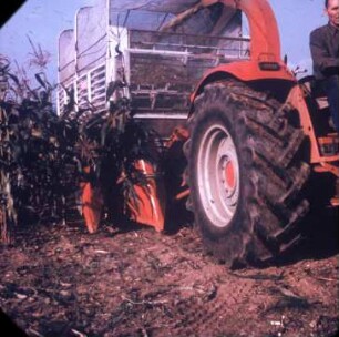 Fotografie: Erntetechnik, Silomais, Maishäcksler angebaut