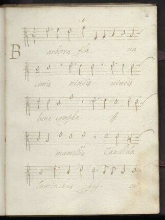 Barbara flava comis niveis