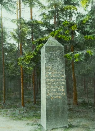 Wolfssäule : Dippoldiswalder Heide, Wolfssäule, erinnert an den letzten 1802 hier geschossenen Wolf