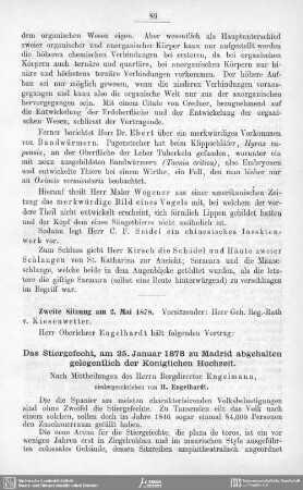 Das Stiergefecht, am 25. Januar 1878 zu Madrid abgehalten gelegentlich der Königlichen Hochzeit