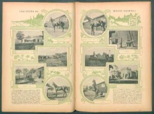 Una visita al Haras Nacional