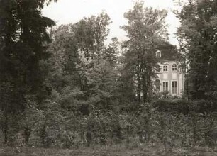 Neschwitz. Werdende Vogelschutzhecke (Vogelschutzstation Neschwitz)