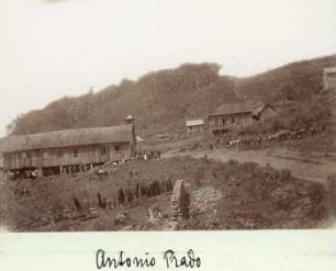Antonio Prado