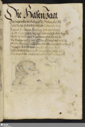 Die HasenJagt
