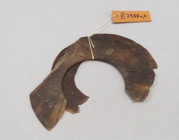 Bangle for women (fragment)