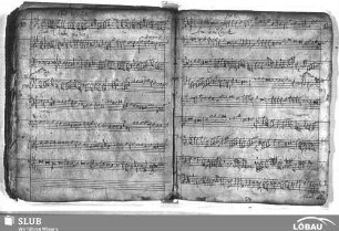 Anonymus: Venite gentes