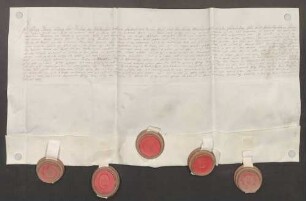 Instrumentum probationis des Philipp Franz Ludwig Karl von Waldenfels.