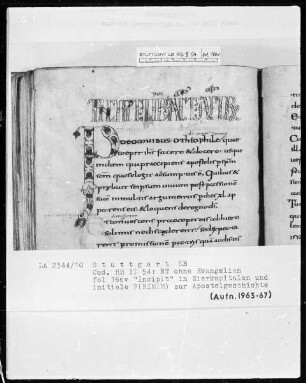 Bibliorum pars finalis, Pauli epistolae, Actus apostolorum, Epistolae canonicae, Apocalypsis — Initiale P(RIMIM), Folio 166verso