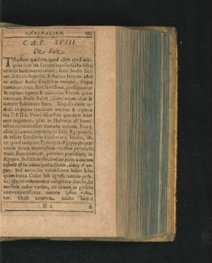 Cap. XVIII. De Fele.