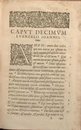 Capvt Decimvm Evangelii Ioannis.
