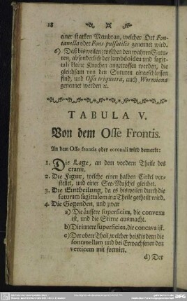 Tabula V. Von dem Osse Frontis