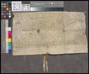 Dolgesheim: Nyclass Wylhelmss und seine Ehefrau Eua, wohnhaft zu Dolgesheim, verkaufen dem liebfrauenaltar in der Pfarrkirche zu Dolgesheim 1 fl. ...