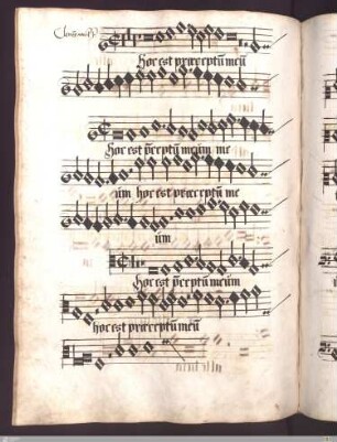Clemens non Papa : Hoc est praeceptum meum