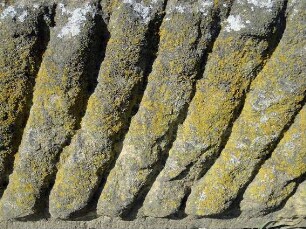 0130_Saloppe