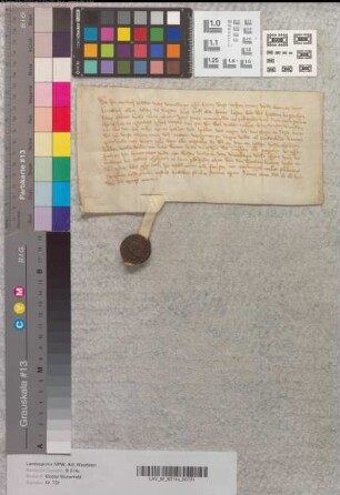 Ritter Amelinch von Varendorpe, verzichtet auf seine Ansprüche an das Kloster Marienfeld wgen einer Salzrente aus Gerd Vogels Haus zu Uflen. Zeugen: Friedrich von Varendorpe, Gert von Varendorpe, genannt von Zudhusen, Johann von den Werden, Knappen.